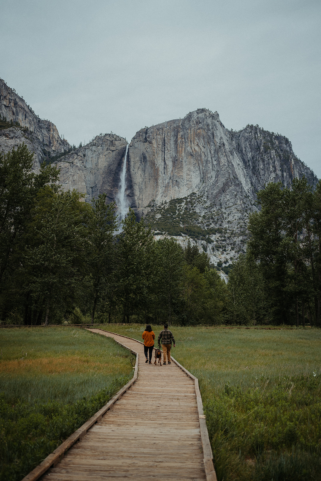 Adventurous Couple walking together on a pathway with their dog through the Yosemite Valley floor, below Upper Yosemite Falls. 