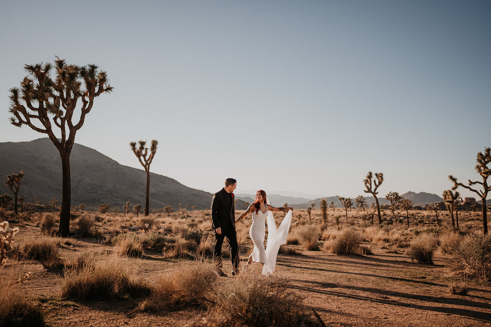 A Bride and Groom walk through Joshua Tree National Park after their intimate wedding ceremony.